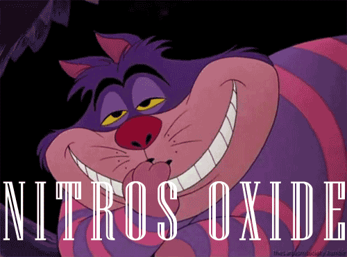 Cheshire cat on Nitrous oxide