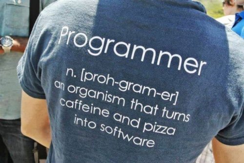 The programmer