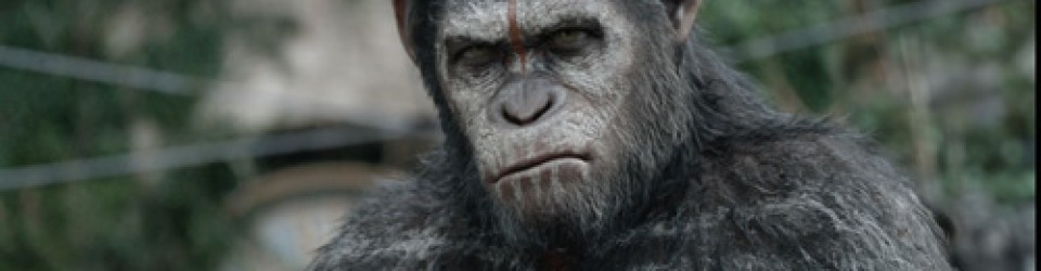 The Apes get a new trailer