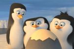 The Psychotic penguins get a new trailer