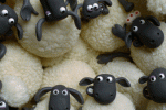 Shaun The Sheep trivia and GIFs