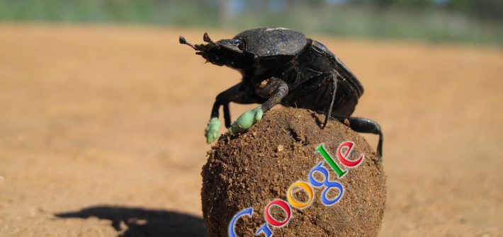 Google Dung Beetle release
