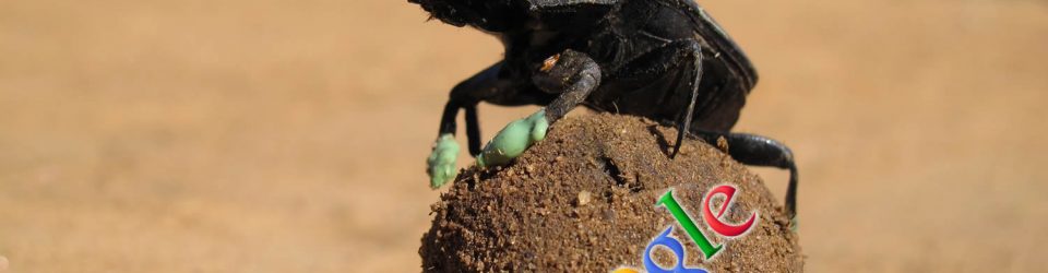 Google Dung Beetle release