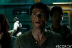 Bite Sized Questions for the Maze Runners