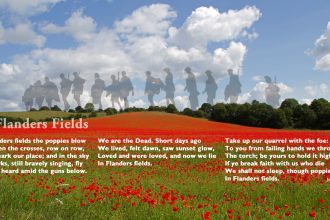 In Flanders Fields