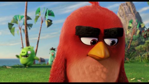 angry birds - Red get's owned | Confusions and Connections