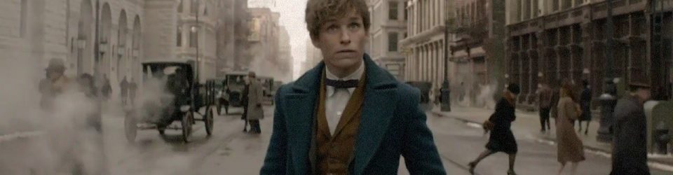 Newt Scamander is coming back