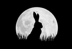 Watership Down hops onto the small screen