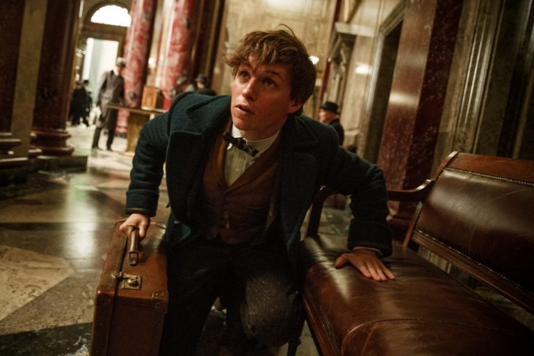 Newt Scamander is coming home | Confusions and Connections