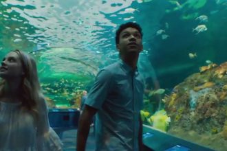 Book to film adaptations that will steal your heart