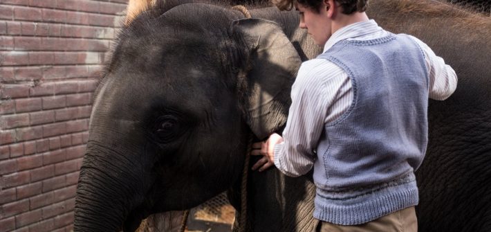 Click to read Zoo Zoo