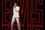 Elvis is back for one night only
