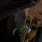 What's in Newt's basement? Fantastic Beasts_ The Crimes of Grindelwald - Newt's New Menagerie