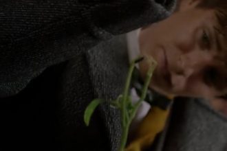 What’s in Newt’s basement?