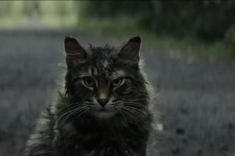 Learn more about the upcoming Pet Sematary