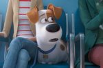 The Secret Life of Pets are back for more