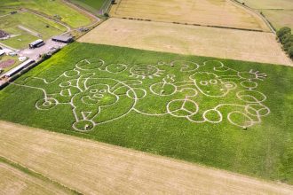 Shaun and the crop circle
