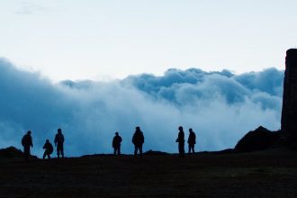 Monos wins best film at the London Film Festival