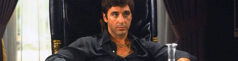 Did You Spot Scarface?