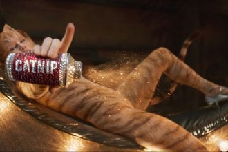 Cats worth paying for