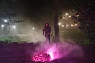 Color out of Space is coming home