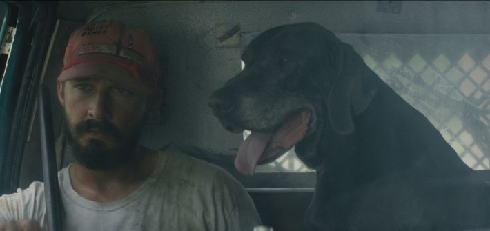 The Peanut Butter Falcon