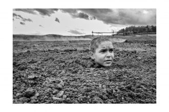 The Painted Bird is flying home