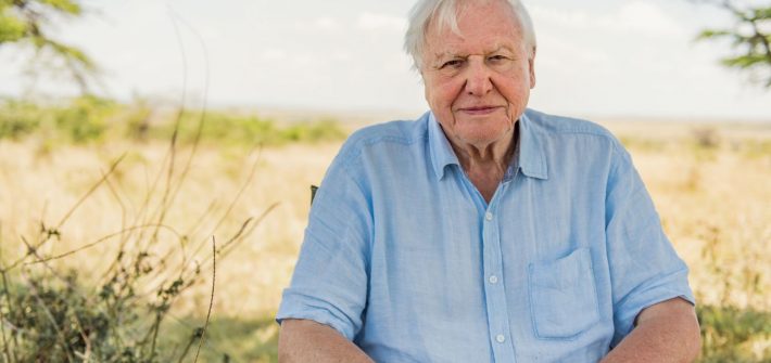 A look back at the life of David Attenborough