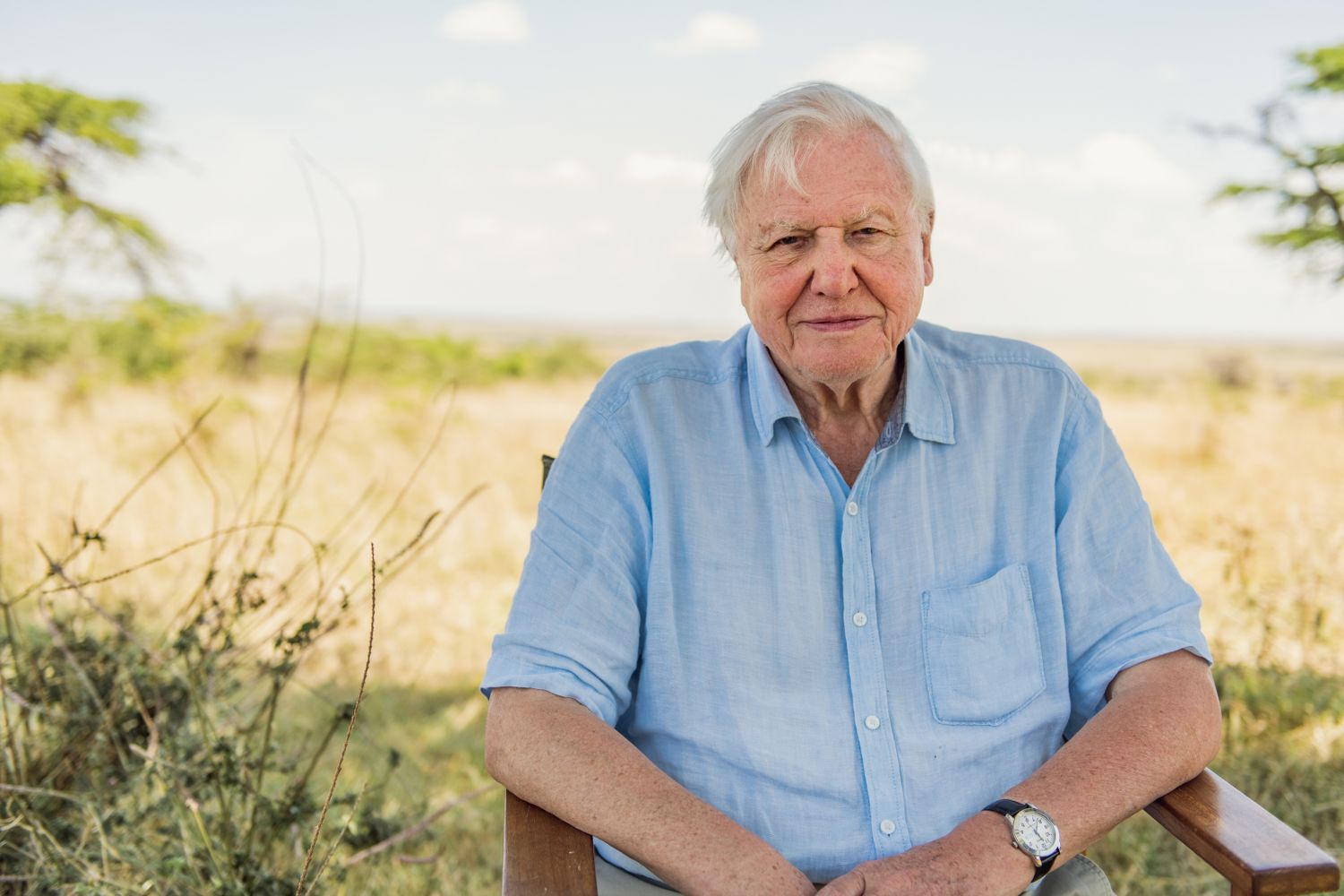David Attenborough A Life On Our has a new release date