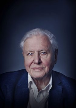 New portrait of Sir David Attenborough for film artwork for David ...