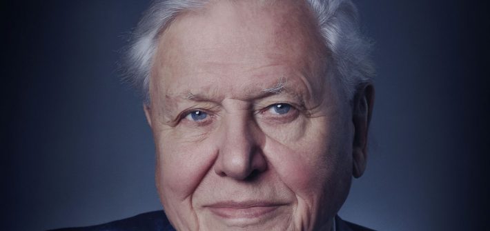 Find out about A Life On Our Planet with David Attenborough