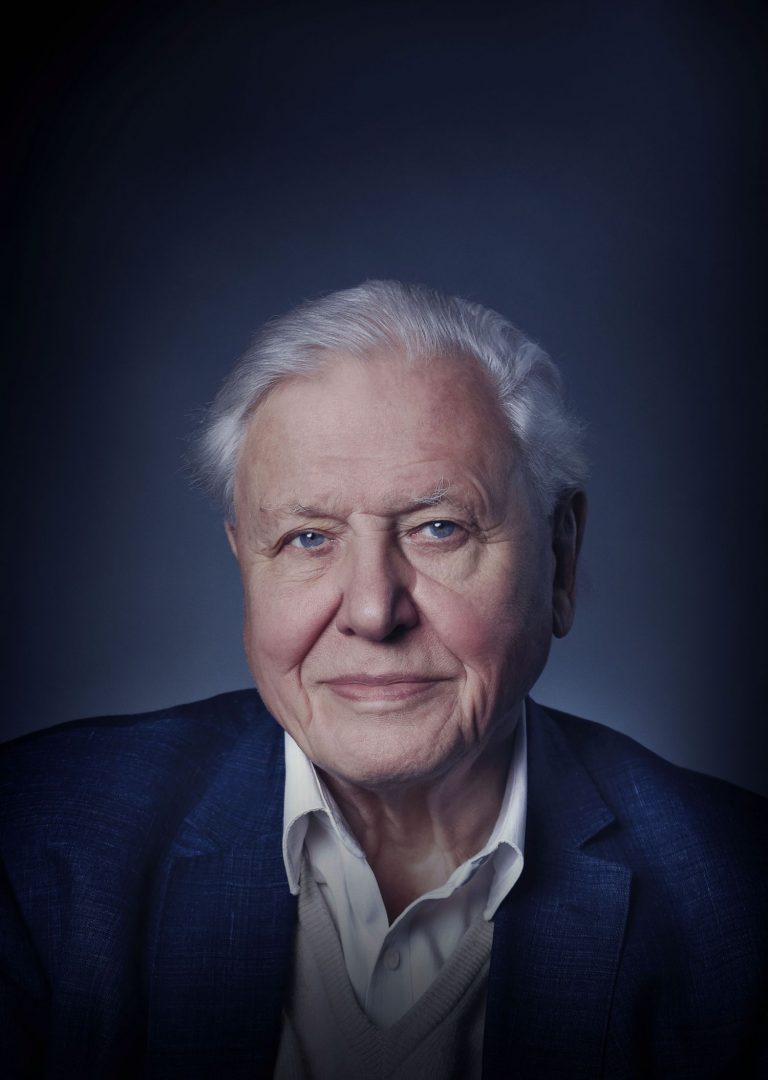 new-portrait-of-sir-david-attenborough-for-film-artwork-for-david