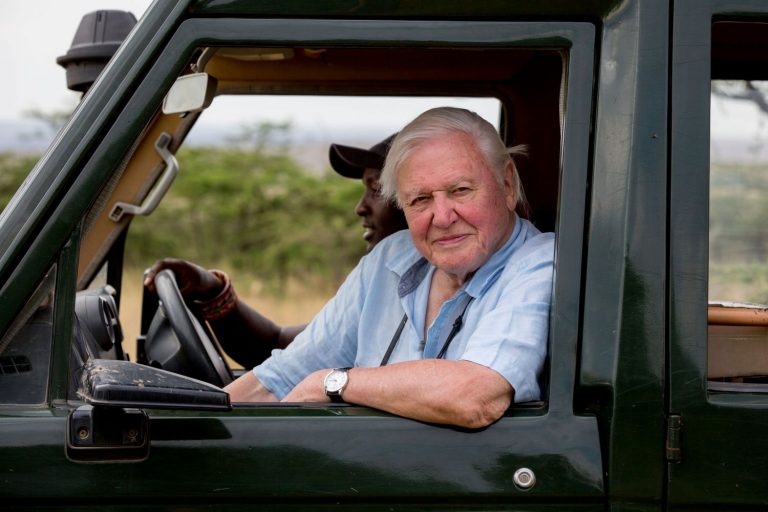 A look back at the life of David Attenborough Confusions and Connections