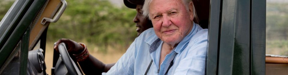 David Attenborough: A Life On Our Planet has a new release date
