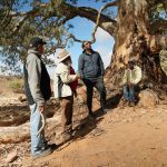 The Australian Dream