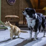 Click to view C&D3-D01-0025r View image