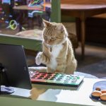 Click to view C&D3-D01-0045 View image