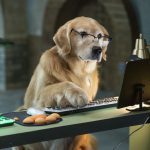 Click to view C&D3-D03-0317 View image