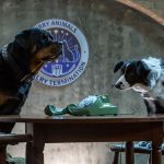 Click to view C&D3-D03-0385 View image