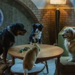 Click to view C&D3-D03-0407 View image