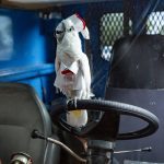 Click to view C&D3-D03-0455 View image