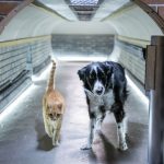 Click to view C&D3-D04-0540r View image