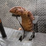 Click to view C&D3-D04-0547 View image