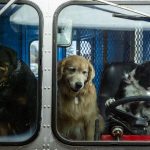 Click to view C&D3-D04-0620 View image