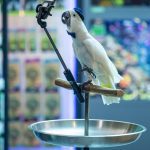 Click to view C&D3-D05-0803 View image