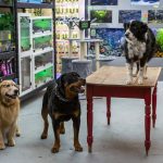 Click to view C&D3-D10-1278 View image