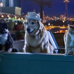 Click to view C&D3-D13-1653 View image