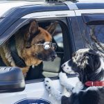 Click to view C&D3-D16-2142 View image