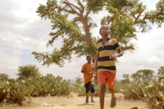 Who is Running Against The Wind?