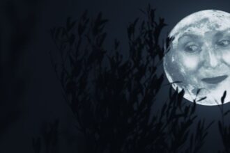 Coming home From The Vine